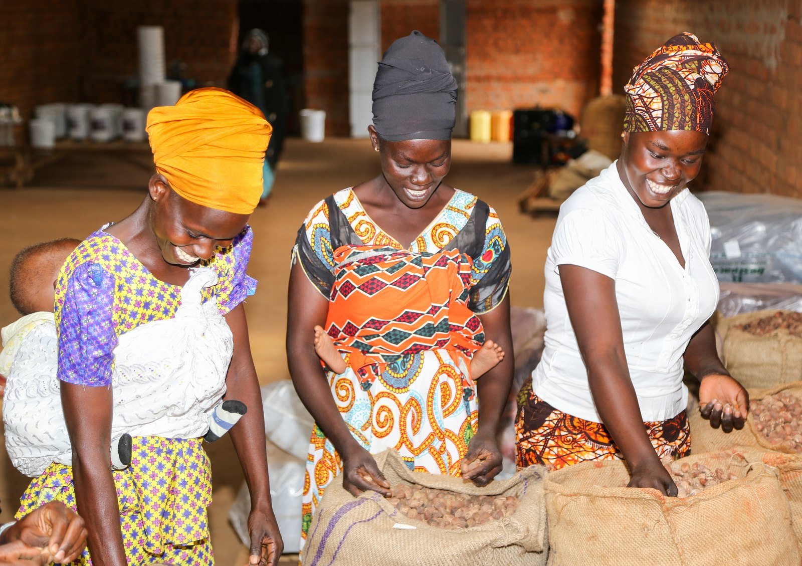 Women sorting shea nuts in Yumbe